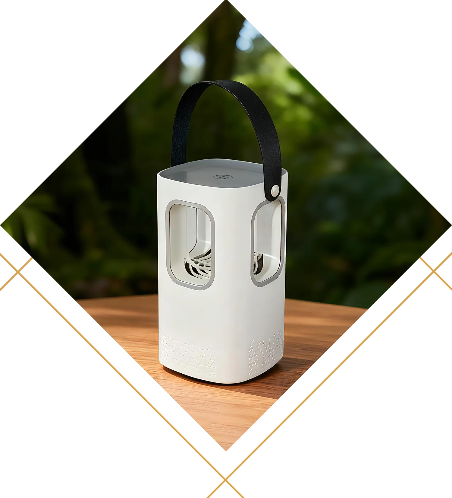 Zabijak komárov Zabijak komárov